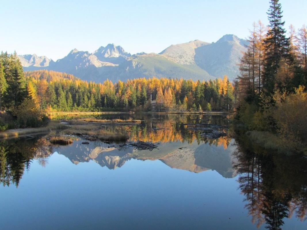 Mountain View Apartament Termy Chocholowskie 5 Min Sucha Hora Экстерьер фото